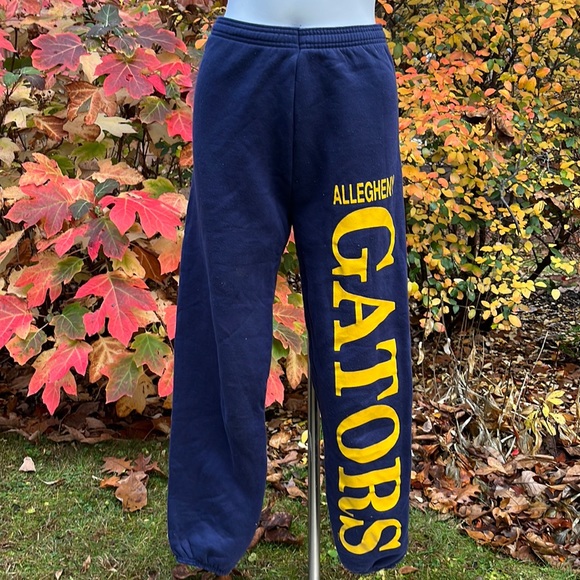 Allegheny College vintage sweats M-L - Picture 1 of 7